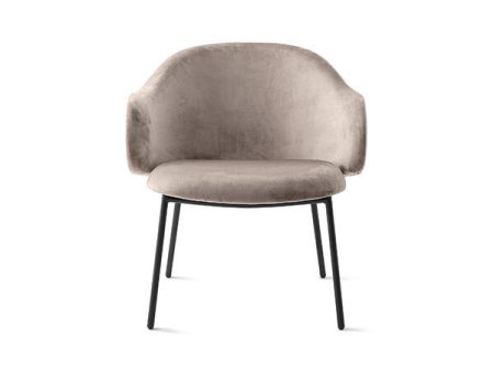 24_Holly_cs3417_P15_S0F_front